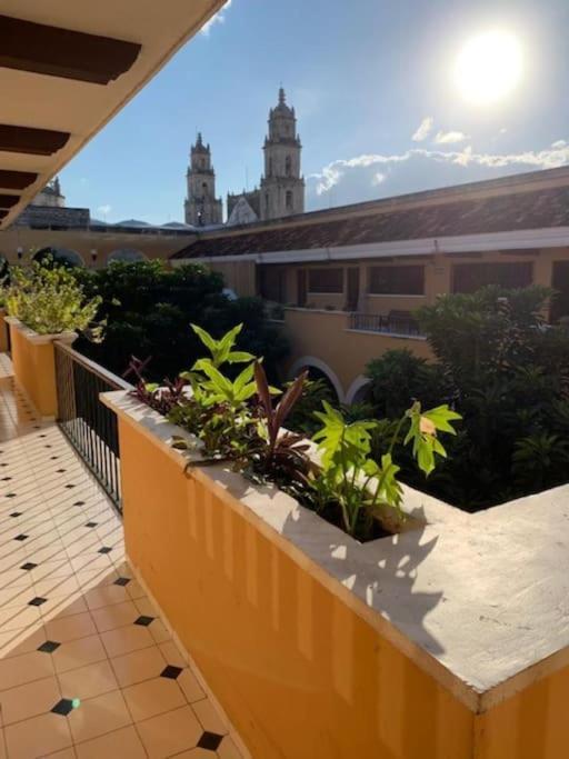 Oceanfront Casita Coral Appartement Chelem Buitenkant foto